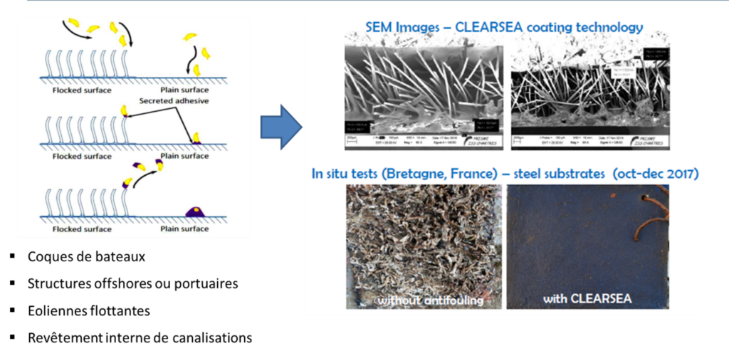 Projet résine CLEARSEA